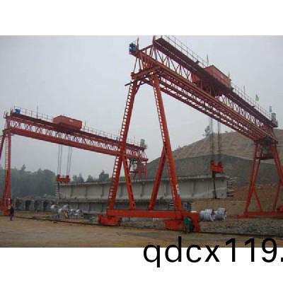 通(tong)用(yong)門(men)式起重(zhong)機10