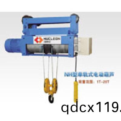 鋼(gang)絲(si)電(dian)動(dong)葫蘆10